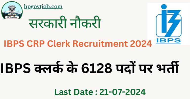 IBPS Clerk  Recruitment 2024